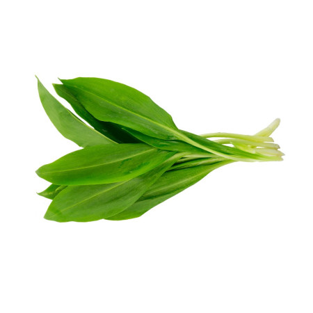 Wild Garlic Leaves