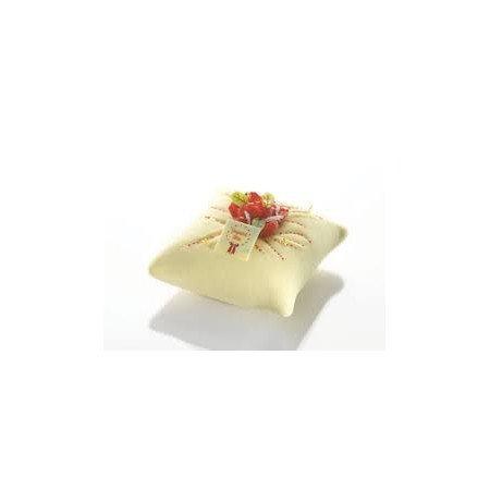 Mould Entremet "Grand Coussin"