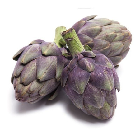 Baby Purple Artichoke
