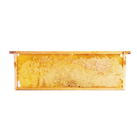 Honey Comb Frame