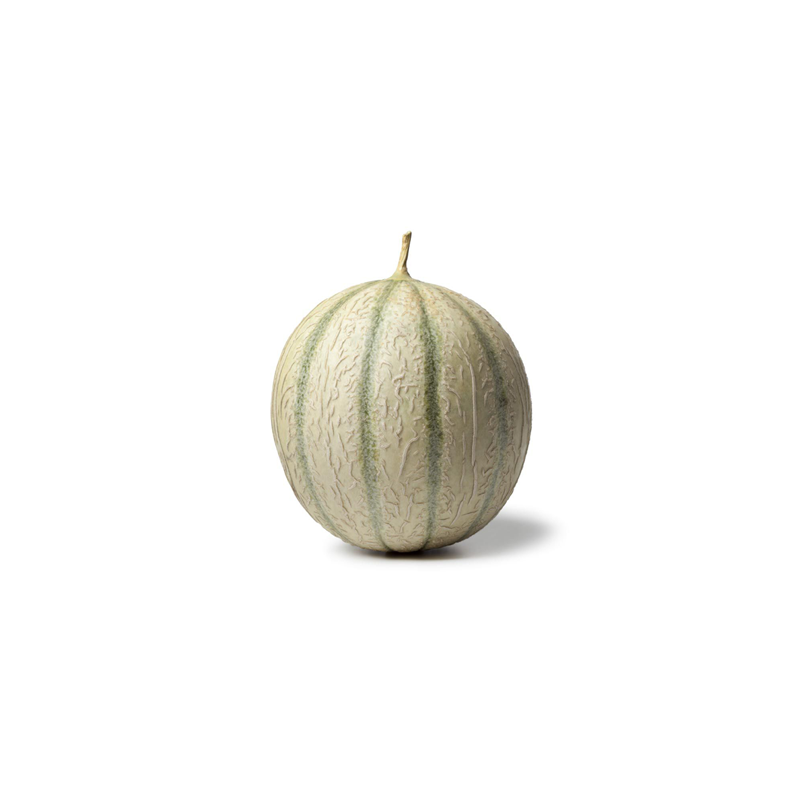 Melon Charentais