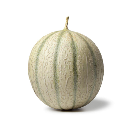 Melon Charentais