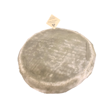 Cheese Saint Nectaire AOP  Semi Soft