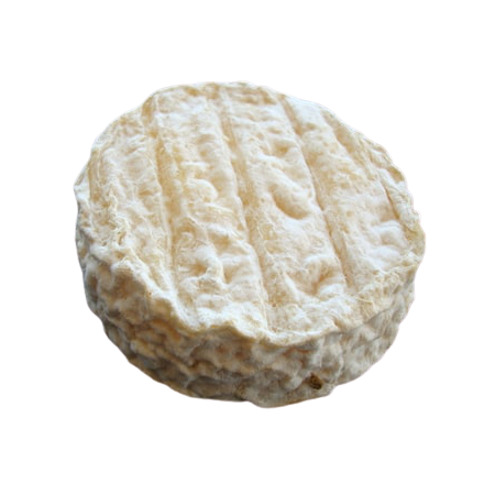 Cheese Saint Felicien  Soft