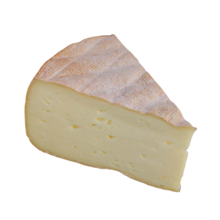 Cheese Saint Paulin  Hard