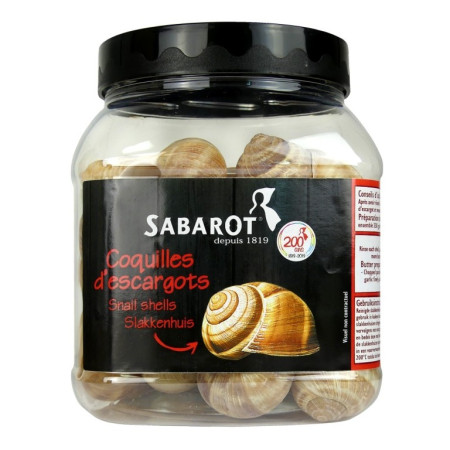 Snail Empty Shells (Extra Large) N6