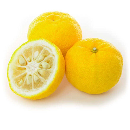 Hana Yuzu Agrume Baches