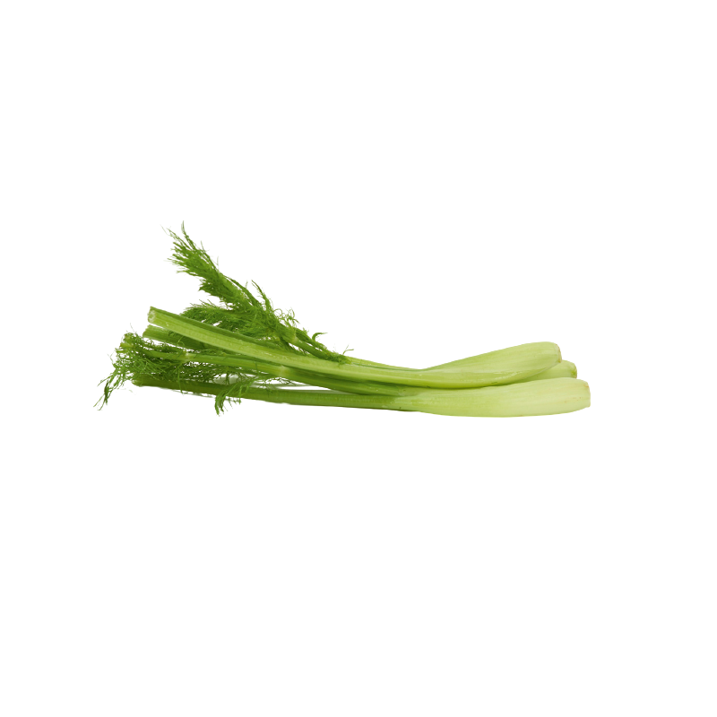 Fennel