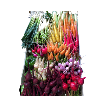 Baby Vegetables Selection Organic Eric Roy