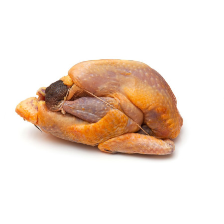 Guinea Fowl Fresh